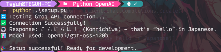 Test Connection Groq API & Python - NganggurDev